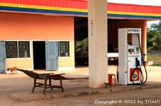 20100216_001673-1.jpg 20100216_001673-1.jpg