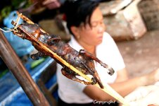 20100216_001737-1.jpg 20100216_001737-1.jpg