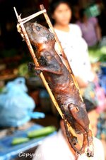 20100216_001738-1.jpg 20100216_001738-1.jpg