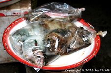 20100216_001740-1.jpg 20100216_001740-1.jpg