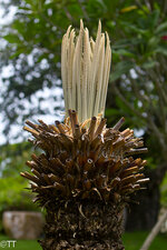 img_3083.jpg img_3083.jpg