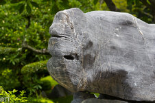 img_3085.jpg img_3085.jpg