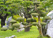 img_3088.jpg img_3088.jpg