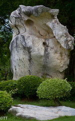 img_3089.jpg img_3089.jpg