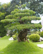 img_3090.jpg img_3090.jpg