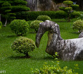 img_3091.jpg img_3091.jpg