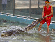 img_3092.jpg img_3092.jpg