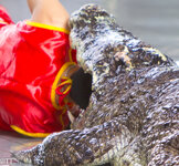 img_3093.jpg img_3093.jpg