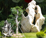 img_3106.jpg img_3106.jpg