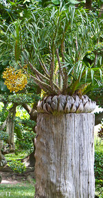 img_3107.jpg img_3107.jpg