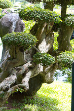 img_3108.jpg img_3108.jpg