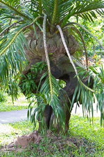 img_3109.jpg img_3109.jpg