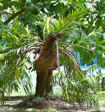 img_3110.jpg img_3110.jpg