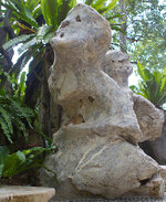 img_3112.jpg img_3112.jpg