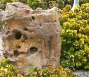 img_3114.jpg img_3114.jpg