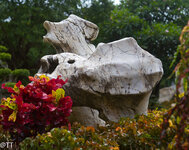 img_3115.jpg img_3115.jpg