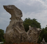 img_3116.jpg img_3116.jpg