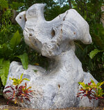 img_3118.jpg img_3118.jpg