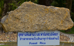 img_3121.jpg img_3121.jpg