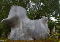 img_3123.jpg img_3123.jpg