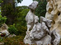 img_3124.jpg img_3124.jpg