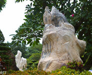 img_3129.jpg img_3129.jpg