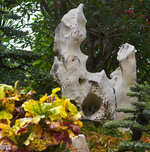 img_3130.jpg img_3130.jpg