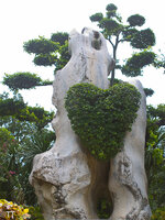 img_3131.jpg img_3131.jpg