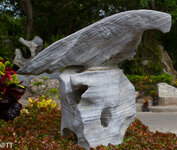 img_3132.jpg img_3132.jpg