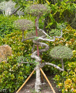 img_3134.jpg img_3134.jpg