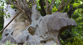 img_3136.jpg img_3136.jpg