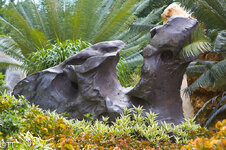 img_3137.jpg img_3137.jpg