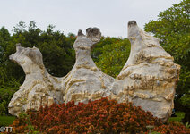 img_3138.jpg img_3138.jpg