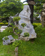 img_3141.jpg img_3141.jpg