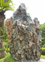 img_3142.jpg img_3142.jpg