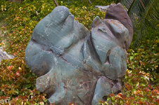 img_3144.jpg img_3144.jpg