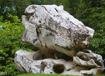 img_3153.jpg img_3153.jpg