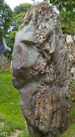 img_3154.jpg img_3154.jpg