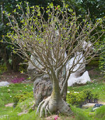 img_3155.jpg img_3155.jpg