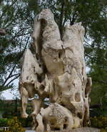 img_3176.jpg img_3176.jpg