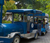 img_3177.jpg img_3177.jpg