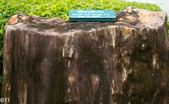 img_3186.jpg img_3186.jpg