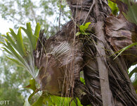 img_3179.jpg img_3179.jpg