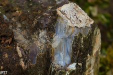 img_3180.jpg img_3180.jpg