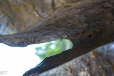 img_3181.jpg img_3181.jpg