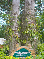 img_3184.jpg img_3184.jpg