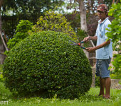 img_3185.jpg img_3185.jpg