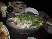 20160422_150438.jpg
