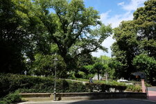 DSCF1456.JPG DSCF1456.JPG