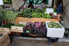 DSCF1489.JPG DSCF1489.JPG